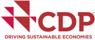 Cdp Nedir?